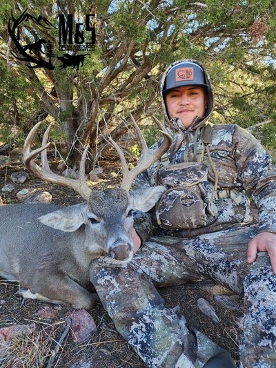 Mule Deer/Coues Deer